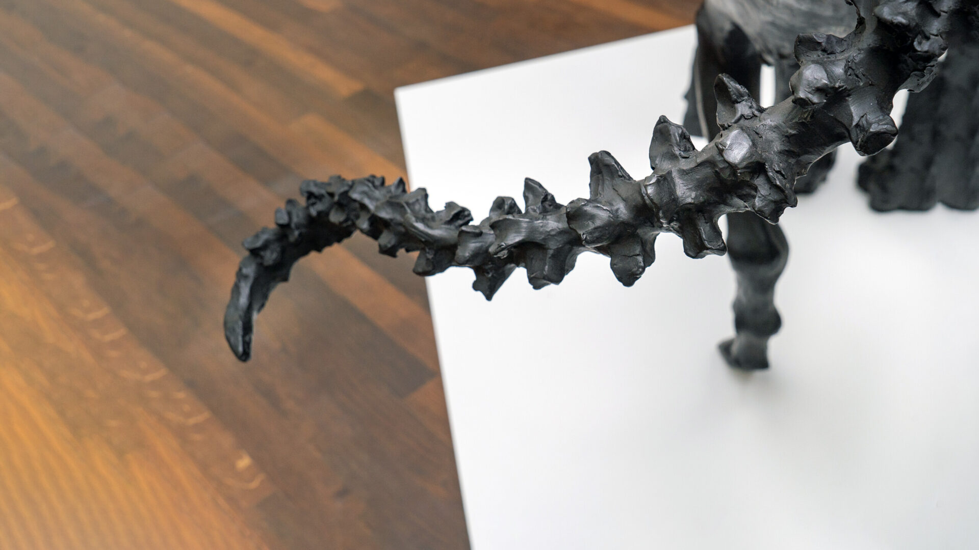 Stella Hamberg. Corpus, Arp Museum, Remagen 2021; Foto: Thomas Köster